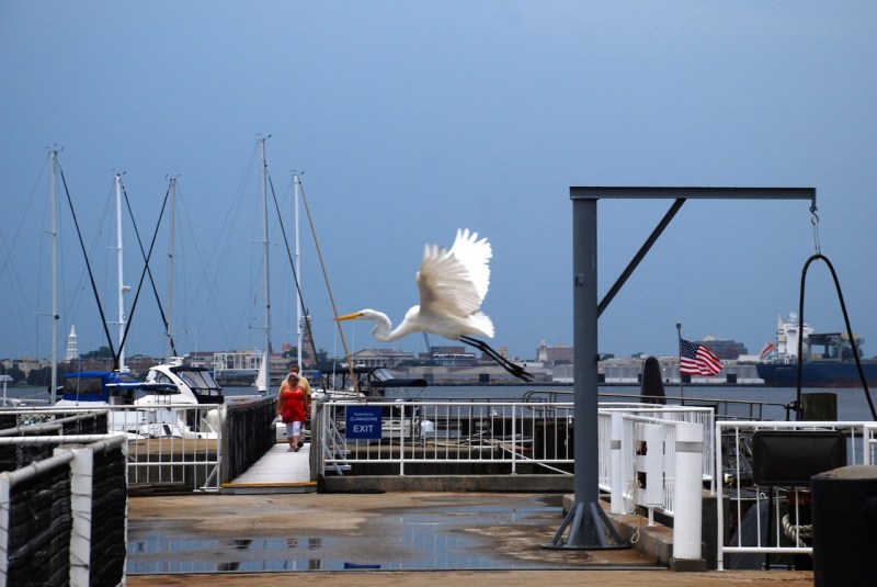 Patriot's Point, Charleston