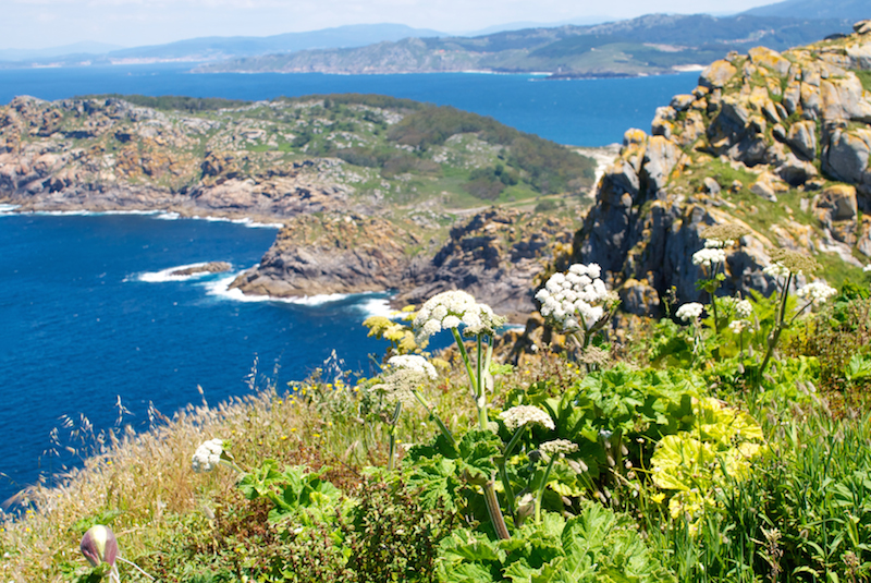 DSC_0484 - Version 2